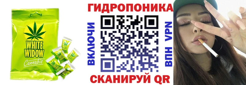 гидра рабочий сайт  где купить наркоту  Гусев  Еда ТГК марихуана 