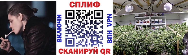 где купить наркоту  блэк спрут ссылка  Конопля VHQ  Гусев 